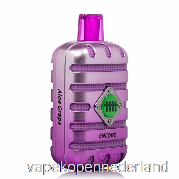 Elektronische Sigarettenvape Met Die Toegift 6500 Wegwerpbare Aloë-druif